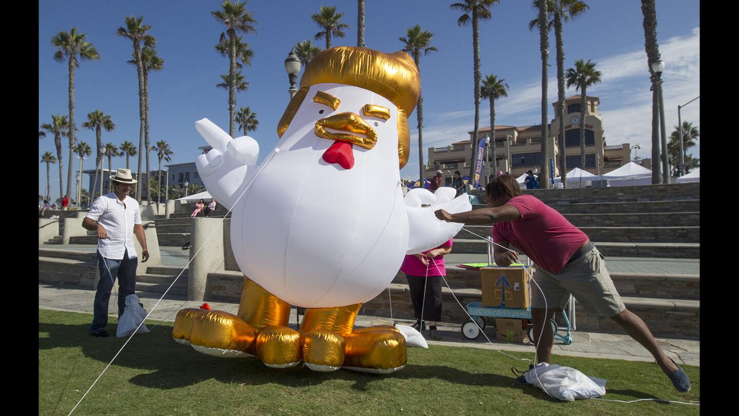 Indivisible OC 48 chairman Aaron McCall, right, helps Taran Singh Brar, left, setup his 10-foot inflatable Donald Trump chicken in a grassy plaza near Rep. Dana Rohrabacher's district office in Huntington Beach on Saturday, Sept. 9. (Kevin Chang/ Staff Photographer)