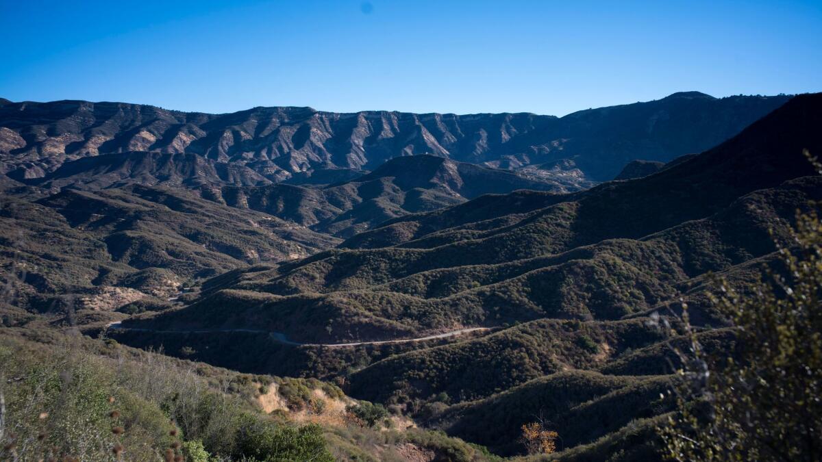 The Los Padres Sespe Condor Sanctuary.