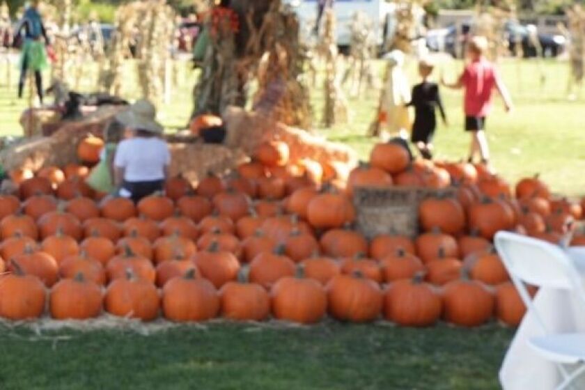 A variety of fall events this year feature the ever-popular pumpkin!