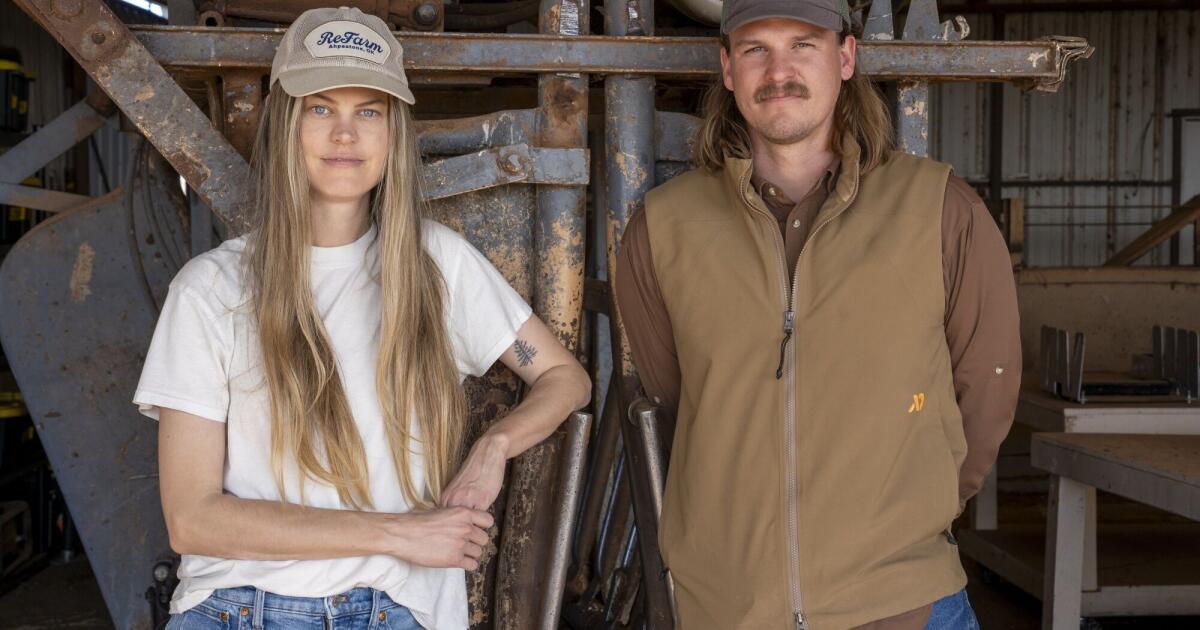 America’s cattle herd hits smallest level since 1950s, pushing beef prices to record highs