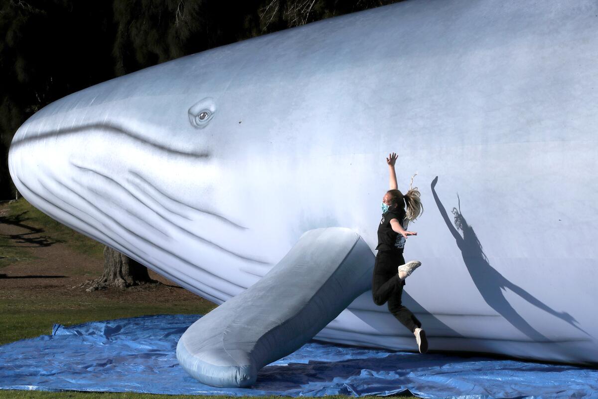 A woman jumps next to a life-sized inflatable blue whale.