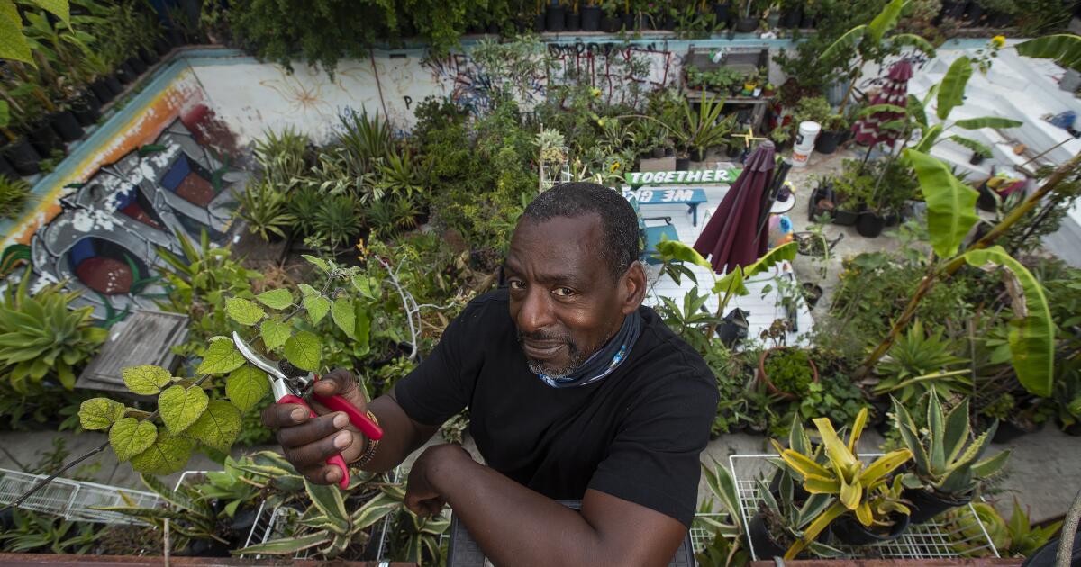 Gangsta Gardener Ron Finley swears by growing your own food - Los