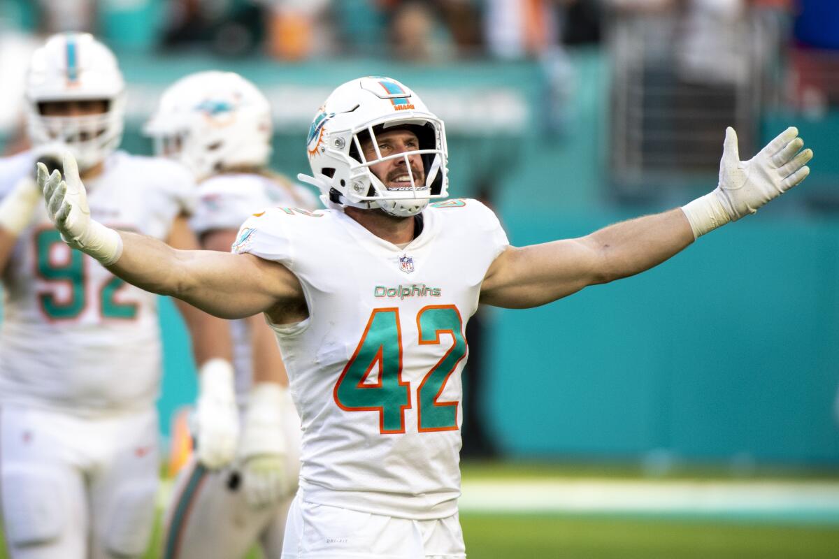 Miami Dolphins safety Clayton Fejedelem celebrates during a win over the New York Giants on Dec. 5.