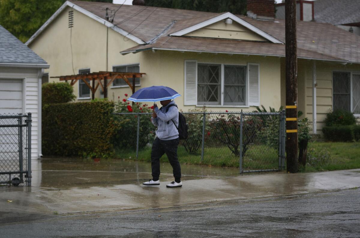 A pedestrian relies on an umbrella as rain falls in Pasadena.