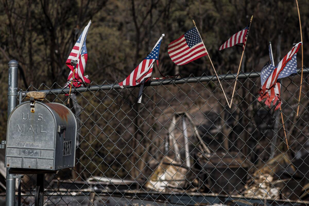 American flags on a chain link fence with charred scenery in the background.