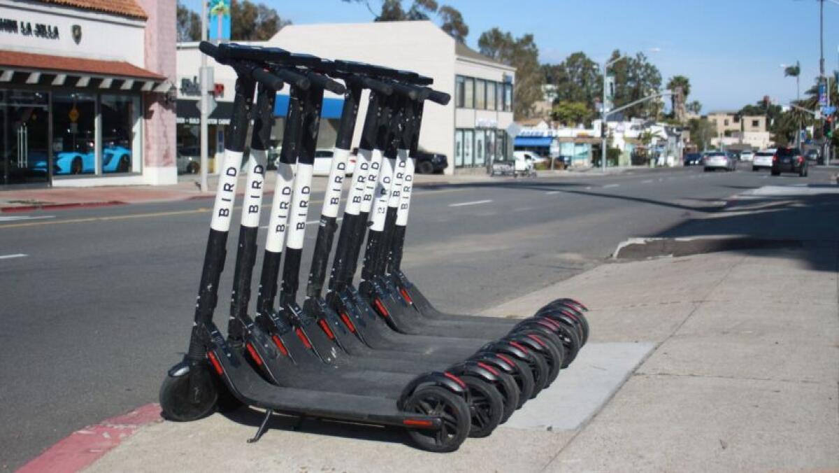 Bird electric scooters are pictured parked along La Jolla Boulevard.