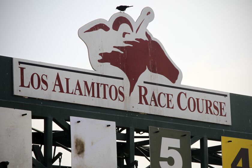 May 31, 2014, LOS ALAMITOS, CA | The starting gate at the Los Alamitos Race Course.