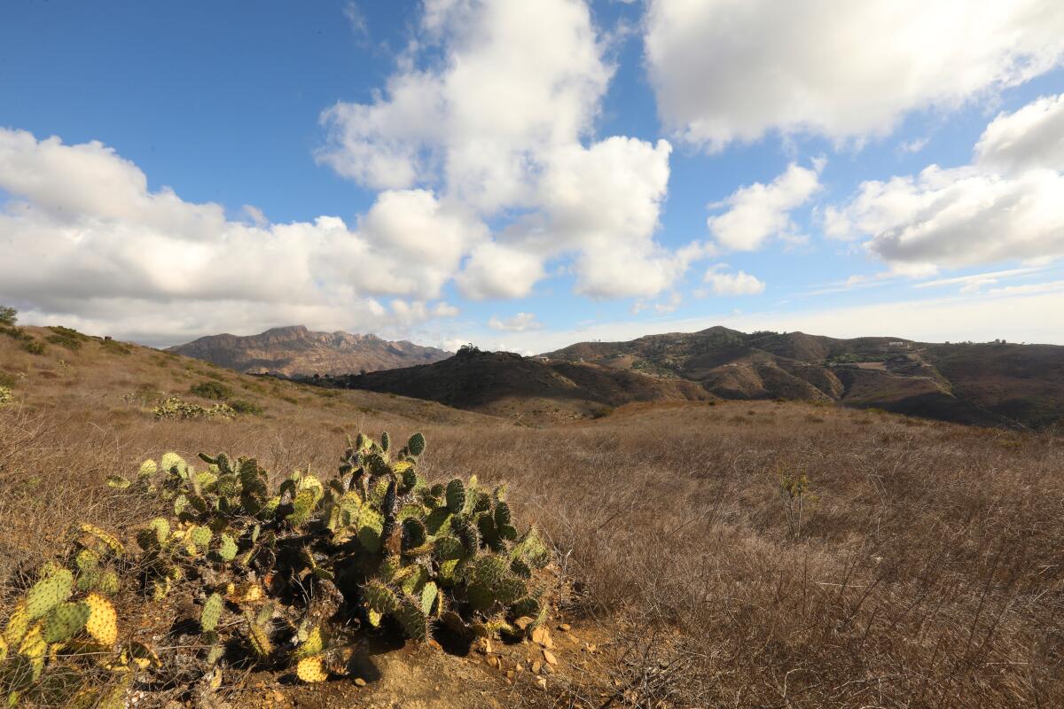 The Trust for Public Land has acquired 1,300 acres of oceanfront mountain land above Malibu's