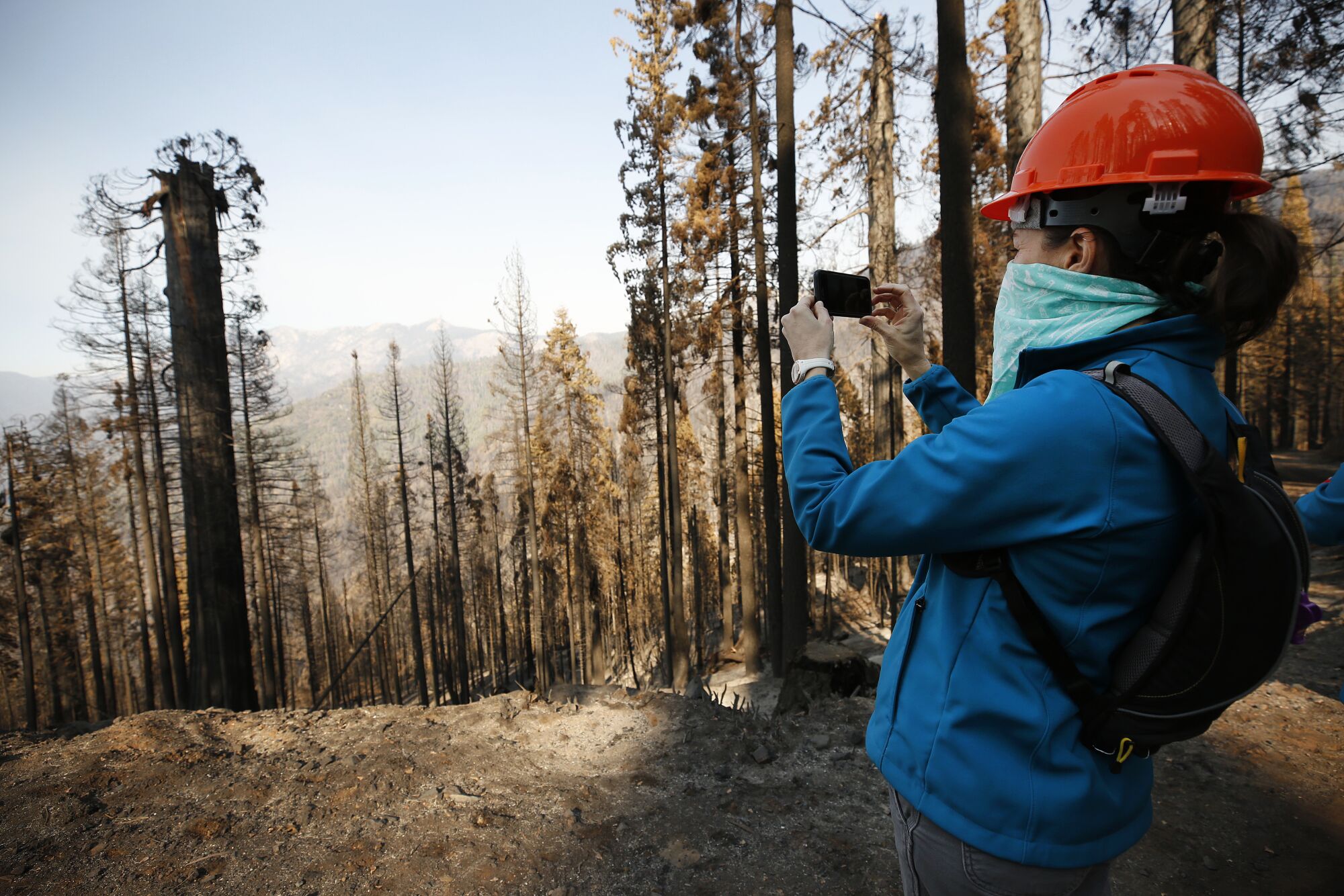 A woman in an orange hard hat uses a cellphone to take a photo of the charred remains of a tree