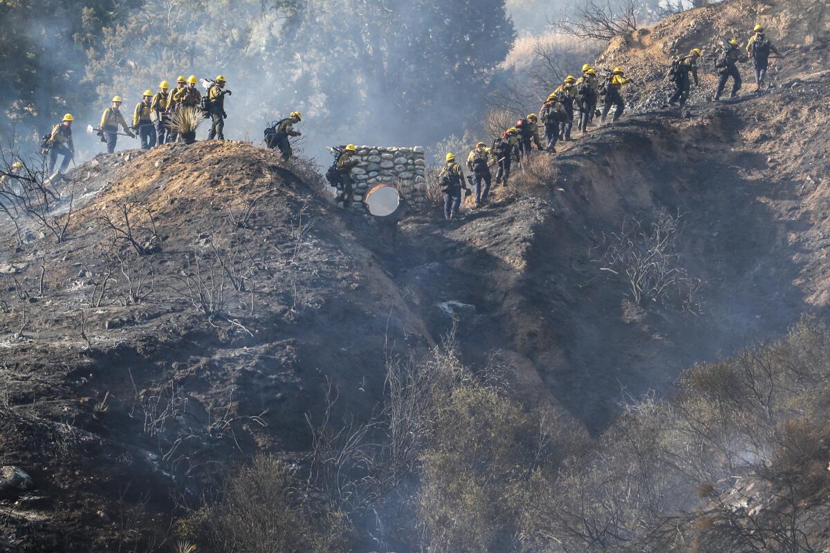 A line of firefighters walking across a charred ridgetop with smoke rising