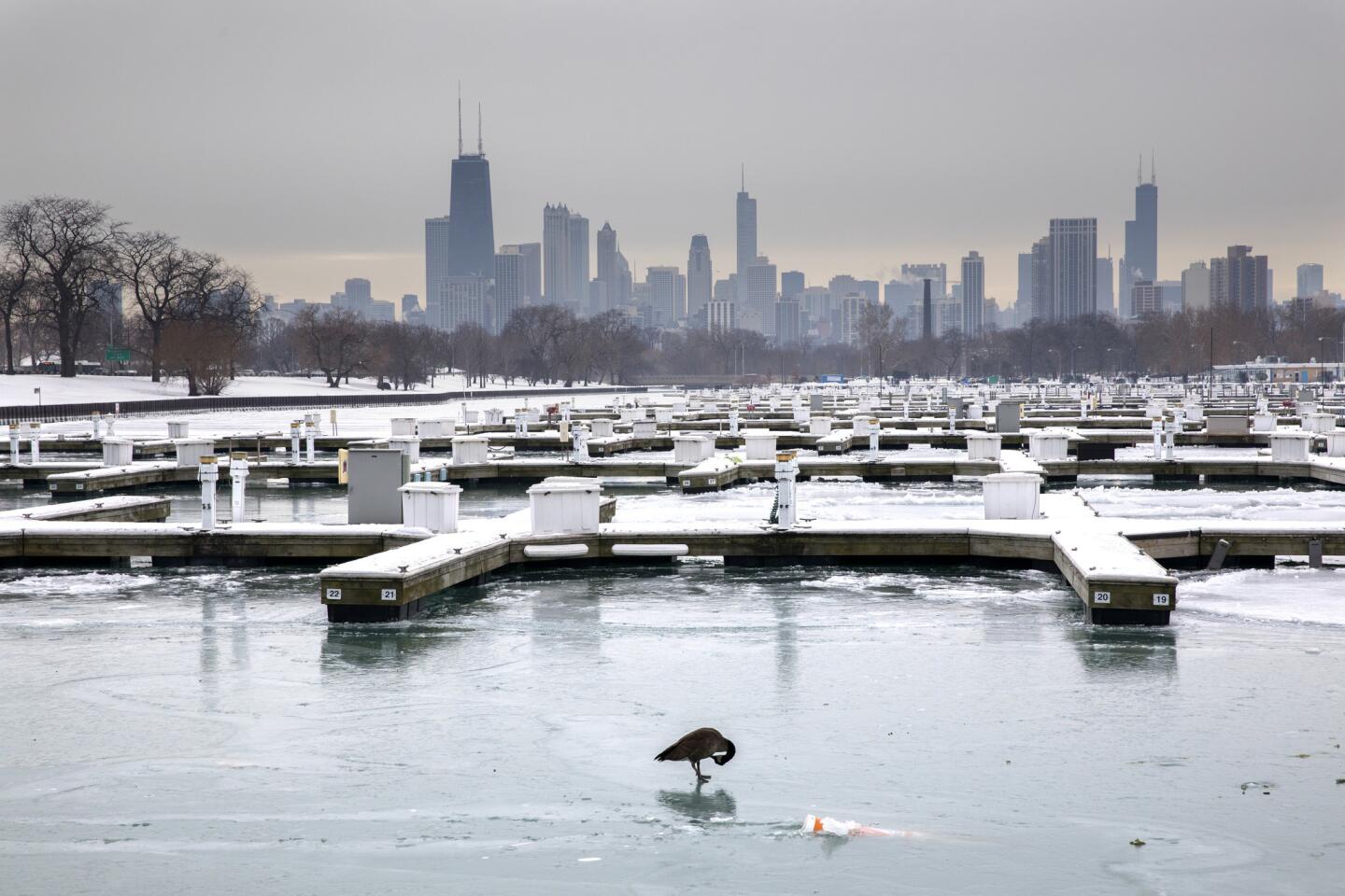 Diversy Harbor is devoid of boats and covered in ice Dec. 21, 2016, in Chicago on the winter solstice.