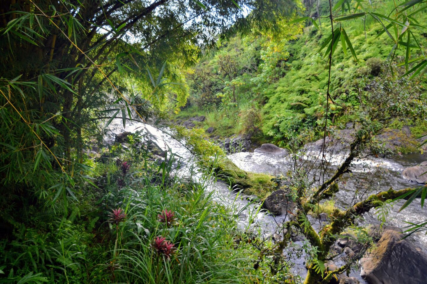 A hidden paradise in Kulaniapia Falls, Hawaii