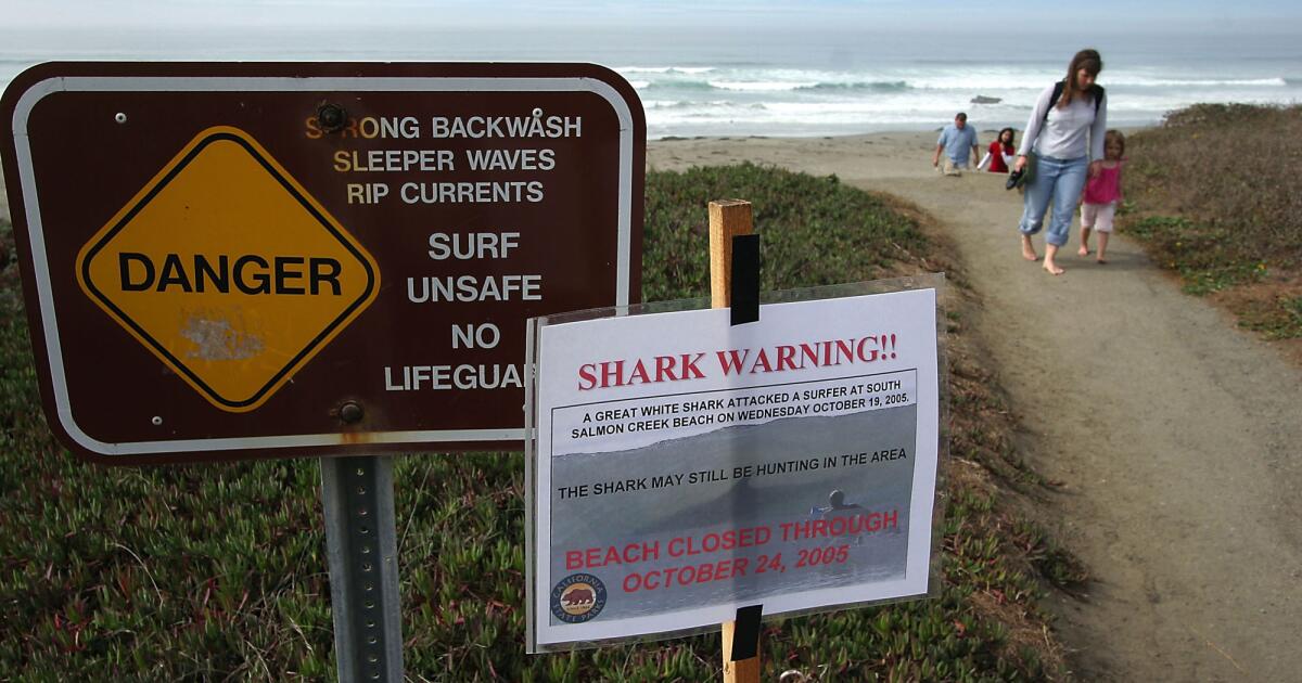 Les restes humains trouvés sur les plages de la Bay Area en 1999 et 2023 ont été identifiés