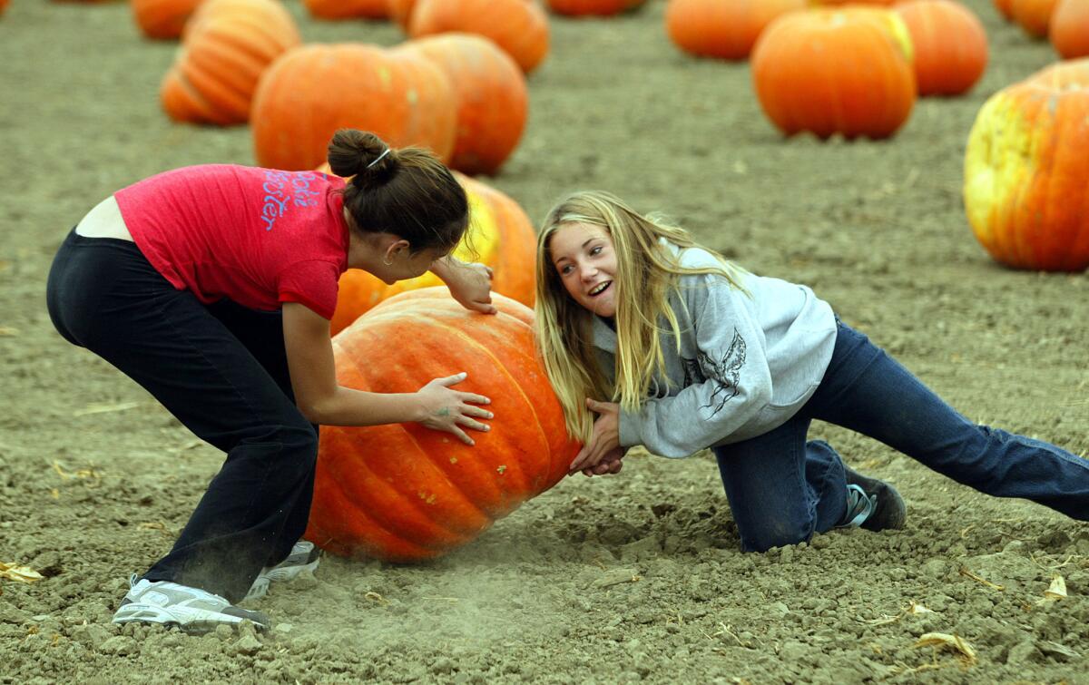 Two girls try to turn over a giant pumpkin while visiting the Faulkner Farm pumpkin patch in Santa Paula. Photo taken in 2004.