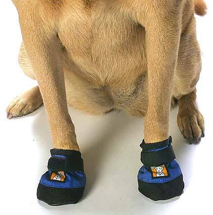 3D bark'n boots