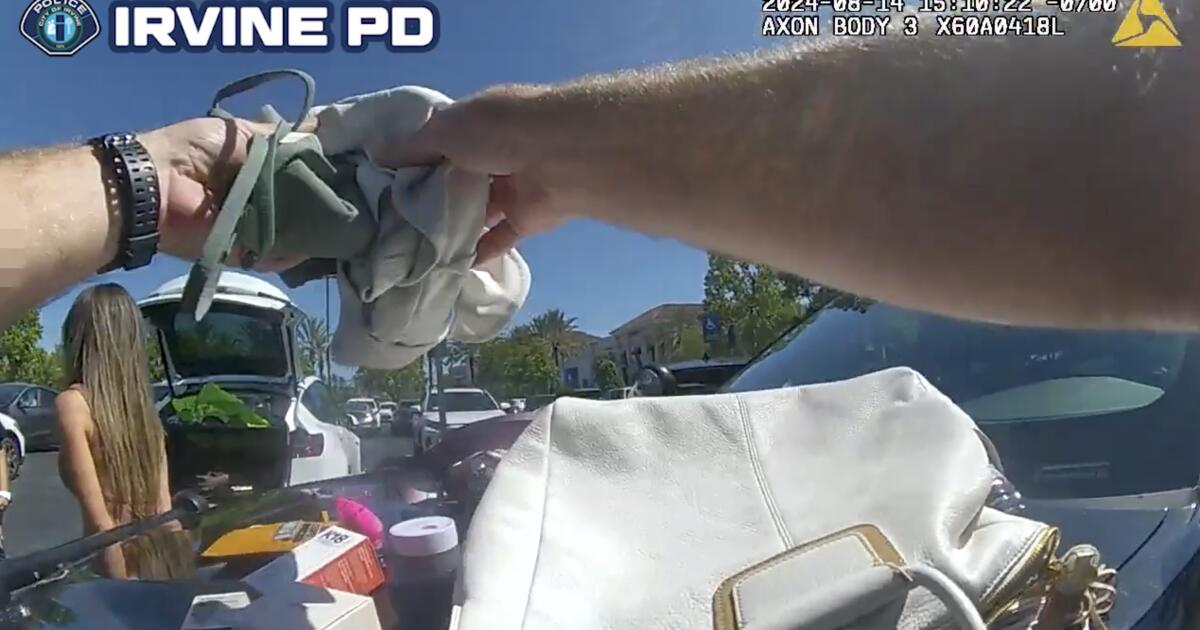 Watch police discover a shoplifting suspect hiding in a Tesla trunk