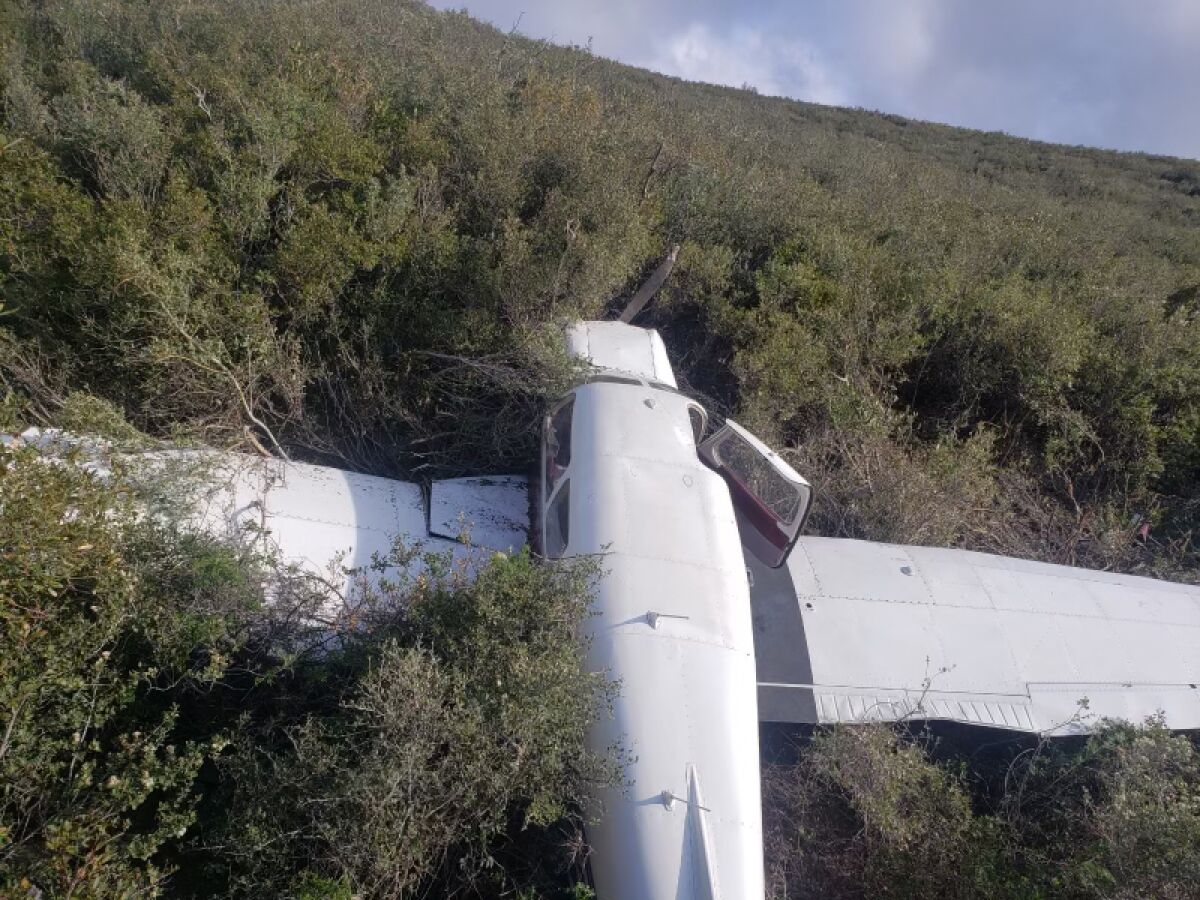 picture of small white plane on the ground surrounded by green chaparral bushes.