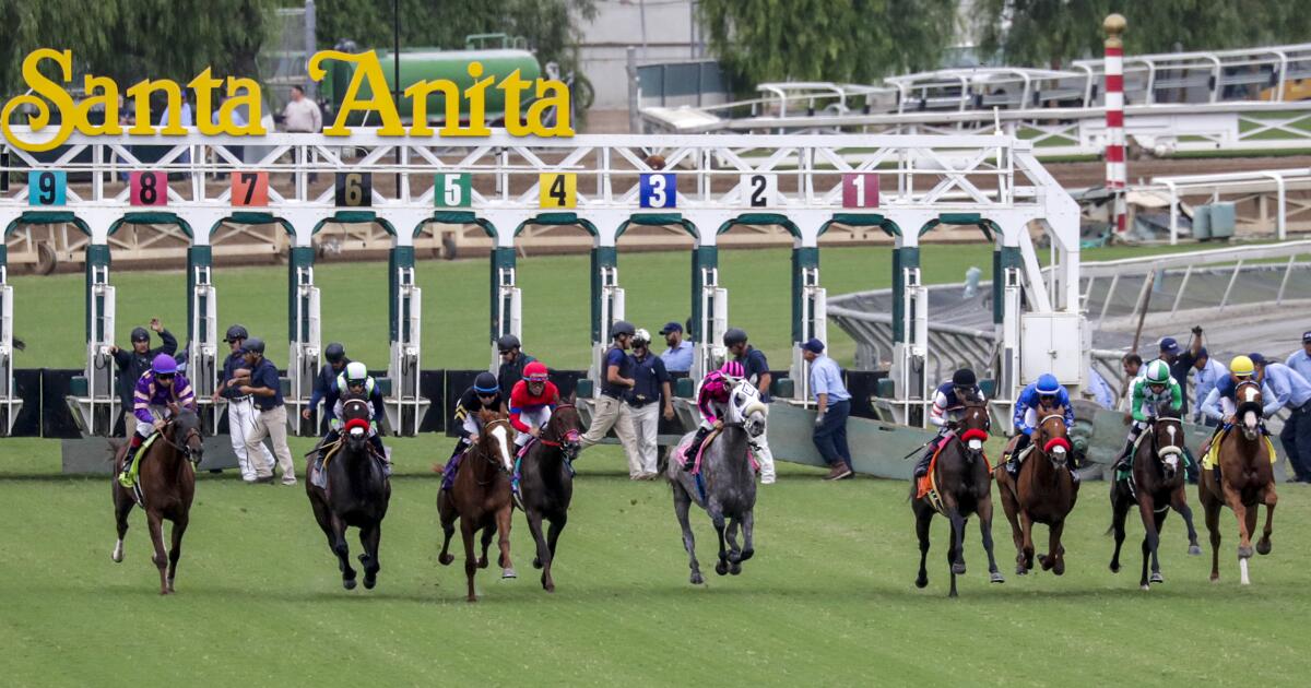 Grim predictions with California horse racing at a crossroads - Los ...