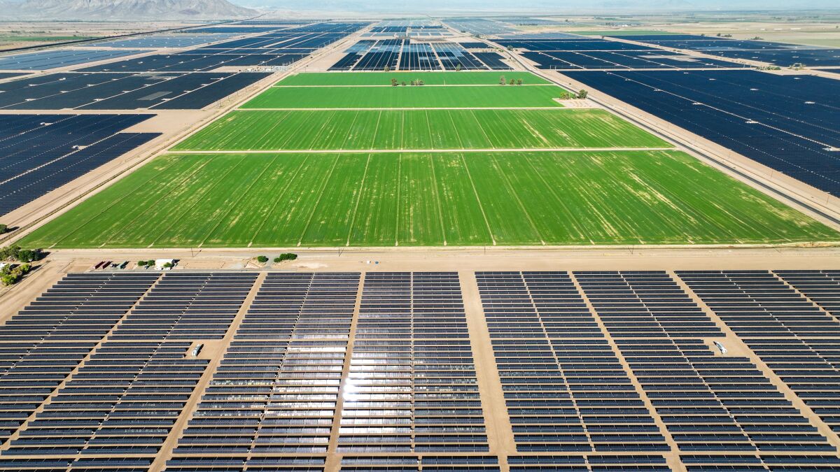 Solar farms surround an alfalfa farm in the Imperial Valley. 