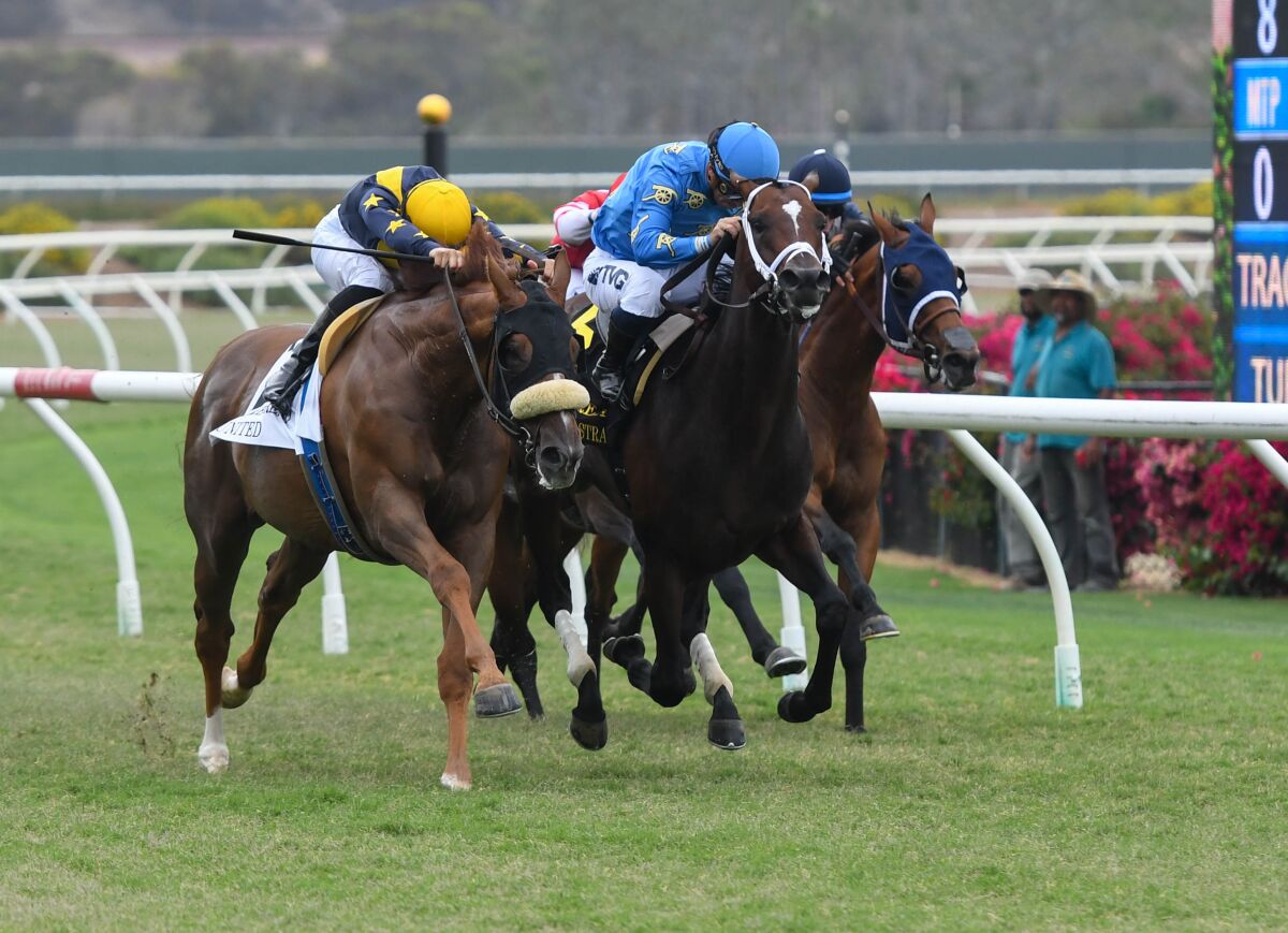 United (left) won the Grade II, $251,000 Eddie Read Stakes.