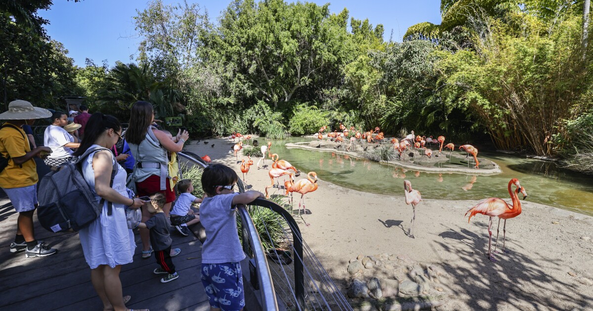 S.D. council to decide if Zoo will receive $17.7 million from taxpayers