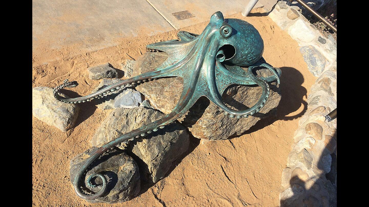 "Kraken" Comes to Life at Diver's Cove