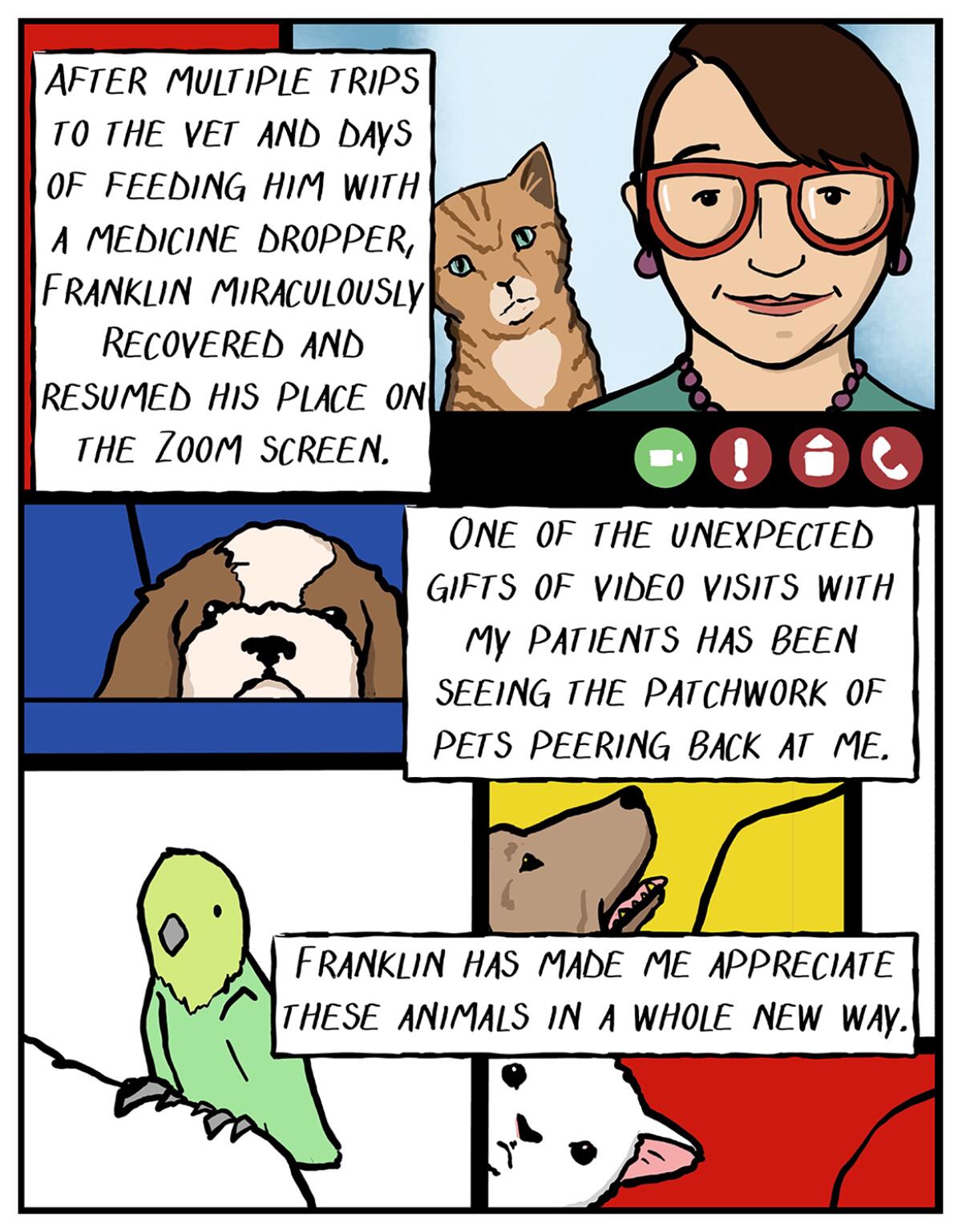 Illustration of a woman and her cat on a computer screen viewing other animals