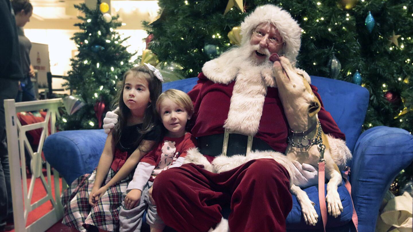 Westside Pavilion expanded photo-with-Santa events at which pets are allowed to three nights from one after they proved a big hit with shoppers. Above, Darraty Fagan, 6, with her brother Ryland Fagan, 3, and their dog Gypsy with Santa at the L.A. mall last week.
