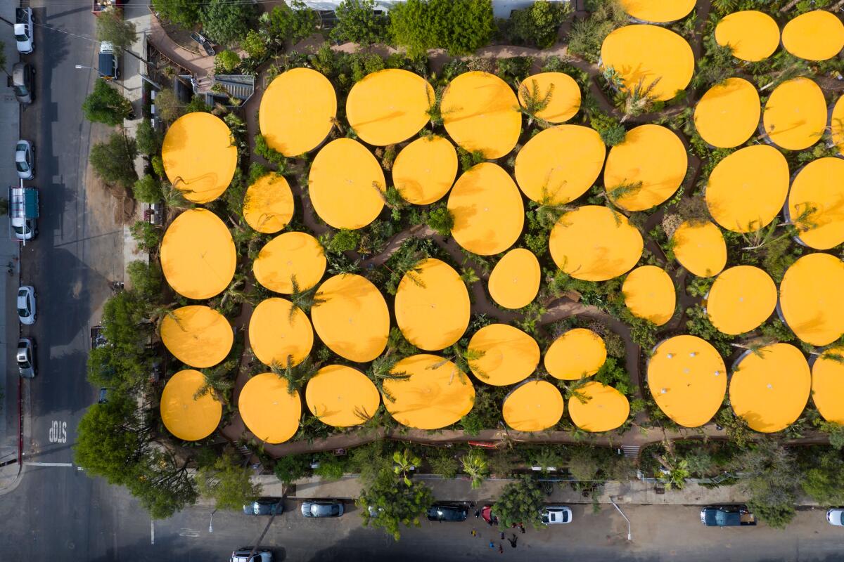 An aerial view of Second Home shows yellow egg shapes interspersed among greenery.