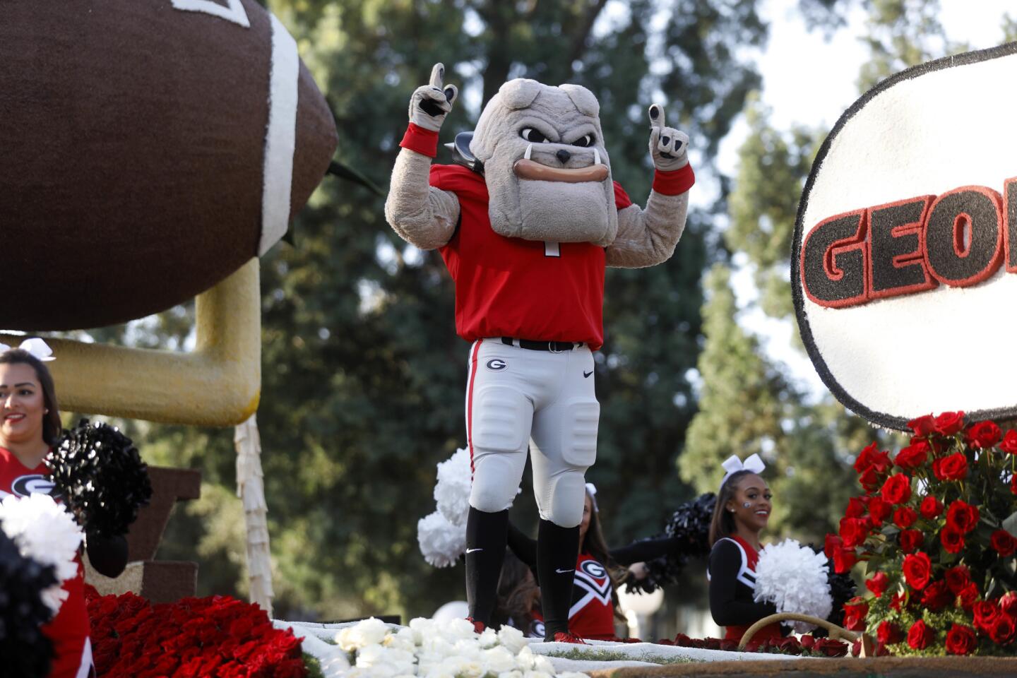 The University of Georgia mascot during the 129th Rose Parade in Pasadena.