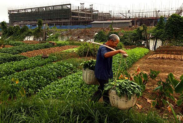 Corrupt land deals in China