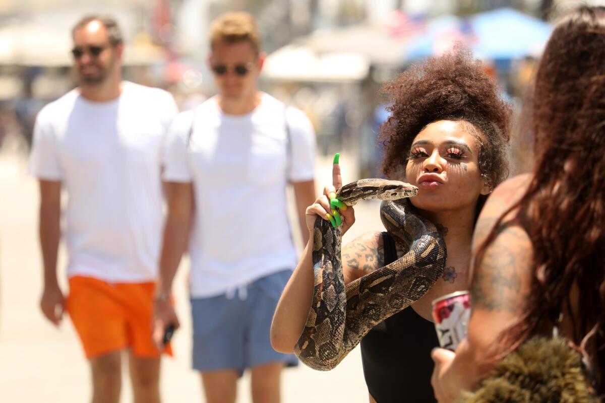 Two men walking past a woman with long green fingernails who is holding a large boa constrictor