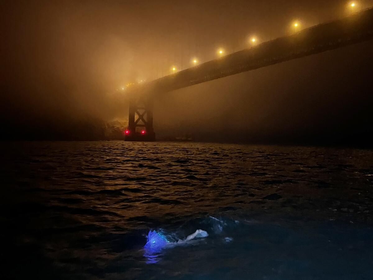 Amy Appelhans Gubser sets off amid fog at the Golden Gate Bridge.