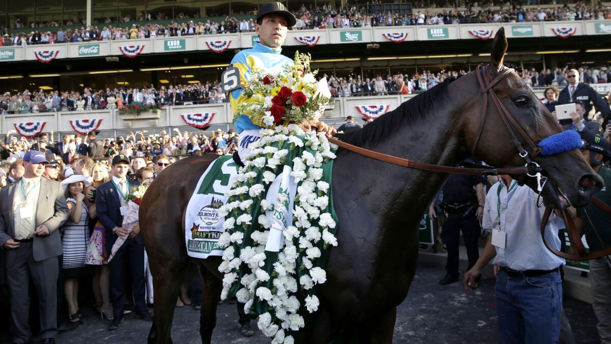 American Pharoah is guided to the Winner's Circle by jockey Victor Espinoza after winning the 147th Belmont Stakes on Saturday.