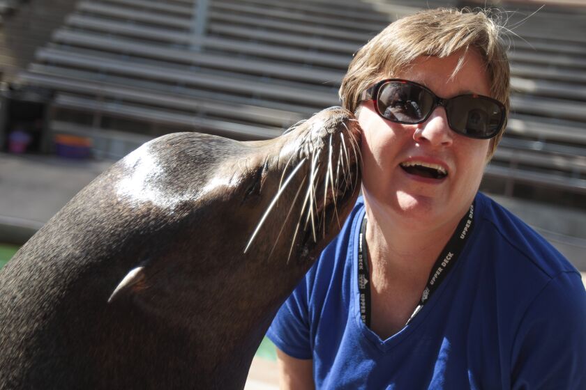 In this photo from 2016, Karla Peterson gets a wet peck on the cheek from Jake the sea lion while reporting on the 100th anniversary of the San Diego Zoo.
