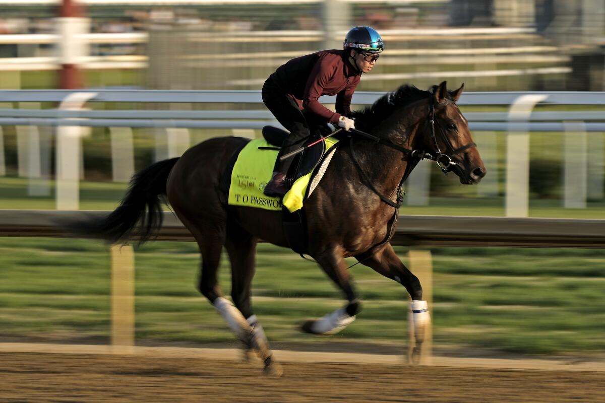 Kentucky Derby entrant T O Password works out at Churchill Downs