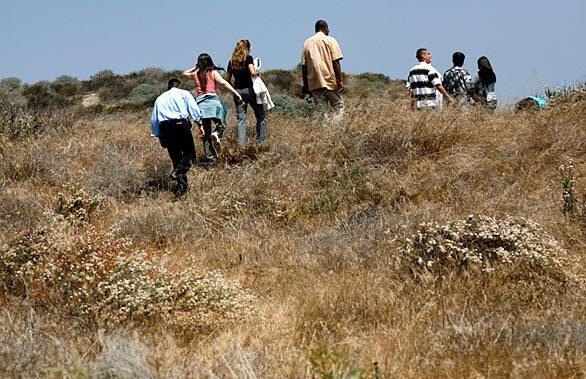Visitors to the El Segundo blue butterfly habitat restoration area near LAX walk carefully down the pathways in search of the insect, which has a wingspan the size of a thumbnail.