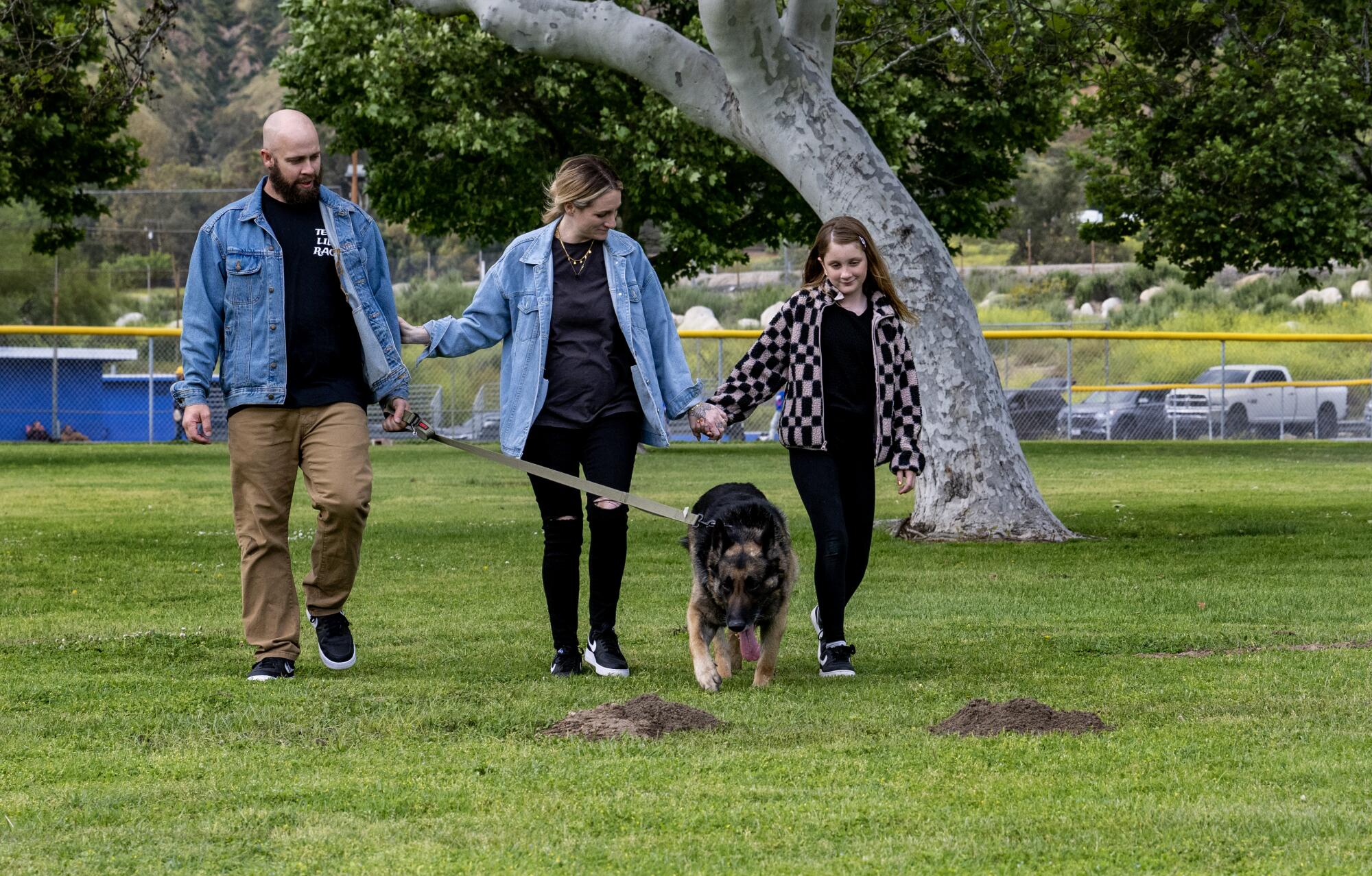 A husband holds a leash while walking a German shepherd around with his wife and daughter.