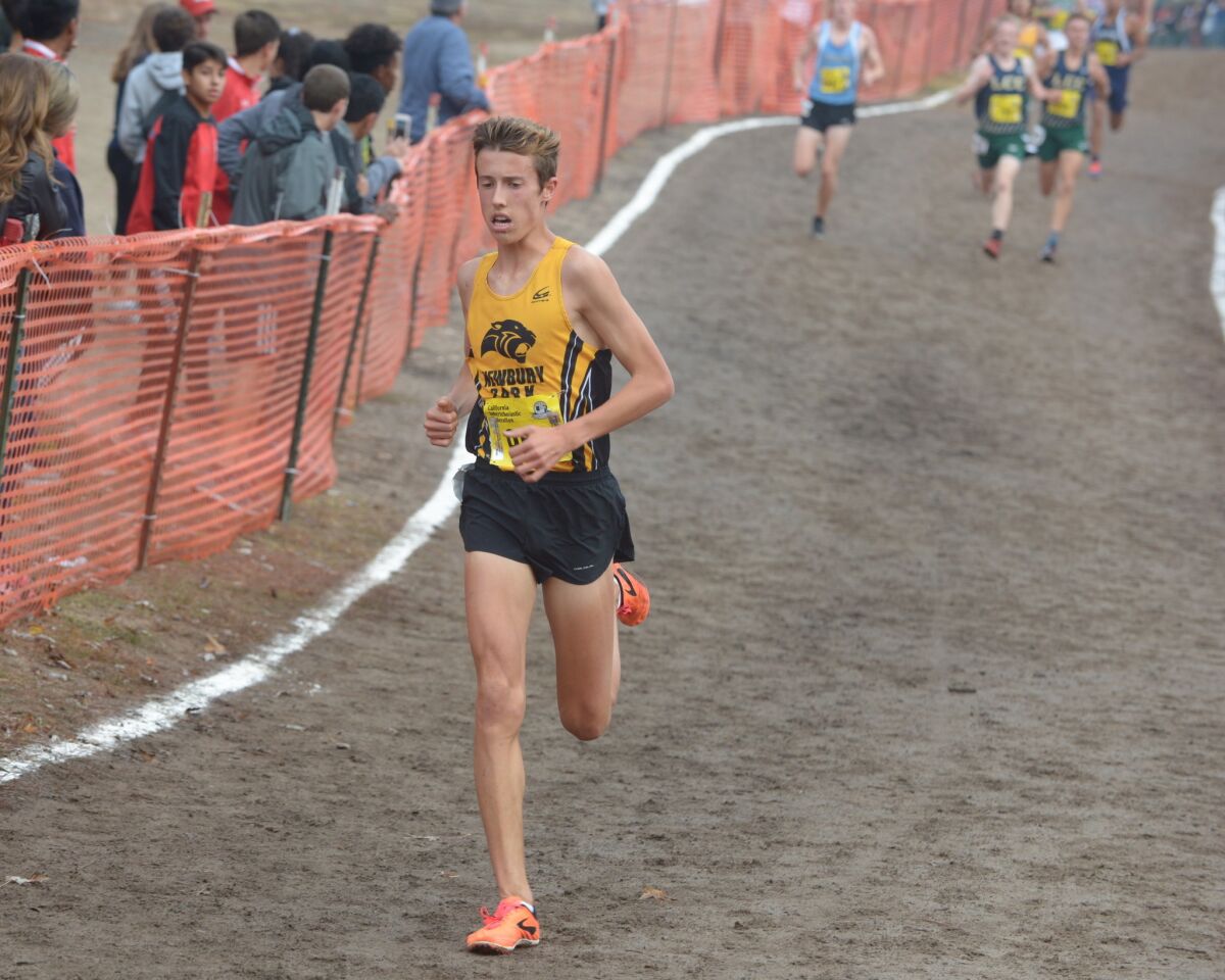 Newbury Park's Nico Young won the Division II state cross-country championship.