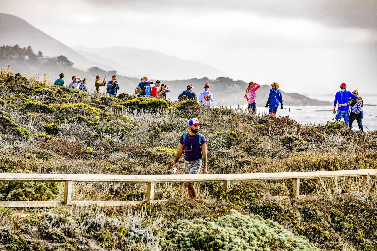 Hikers crowd a trail along the coastal landscape at Point Lobos State Park.