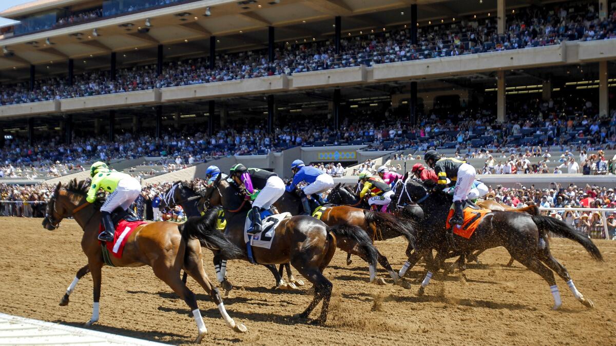 Horses race at Del Mar.