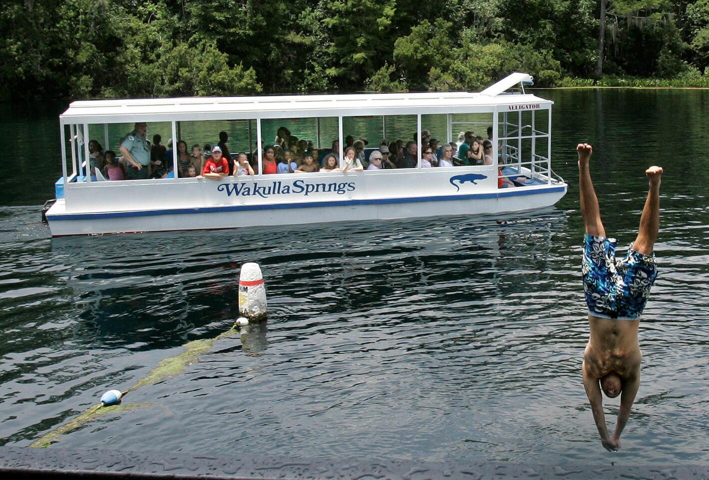 Visitors to Wakulla Springs State Park take a river tour as a swimmer dives in.