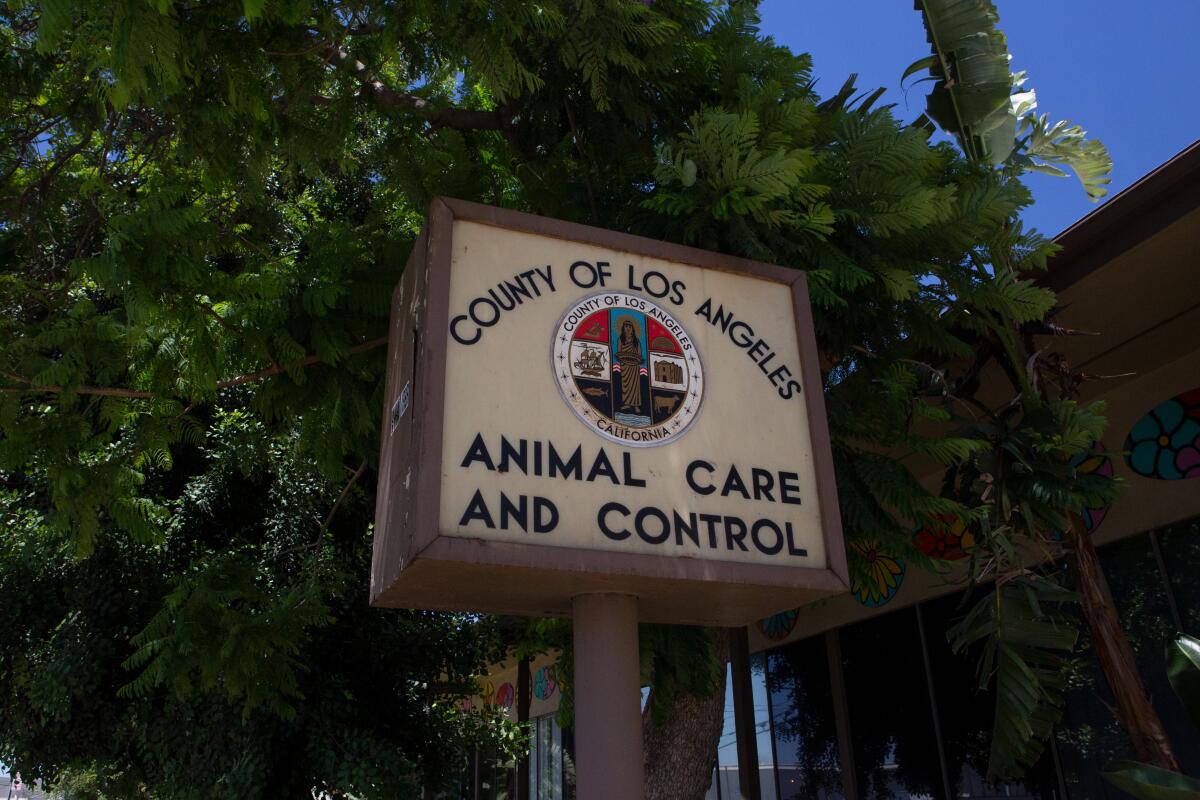 A sign for a Los Angeles County Animal Care and Control Shelter.