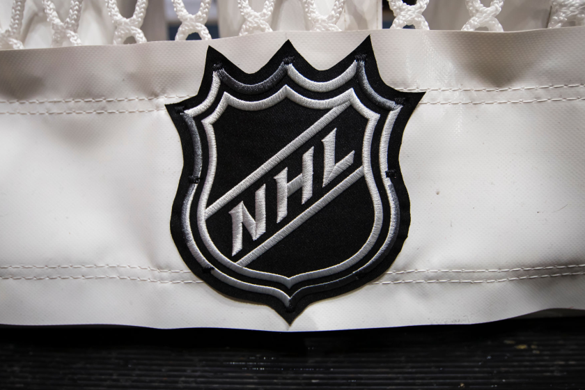 WASHINGTON, DC - OCTOBER 16: A detailed view of the NHL logo on the back of the goal netting.