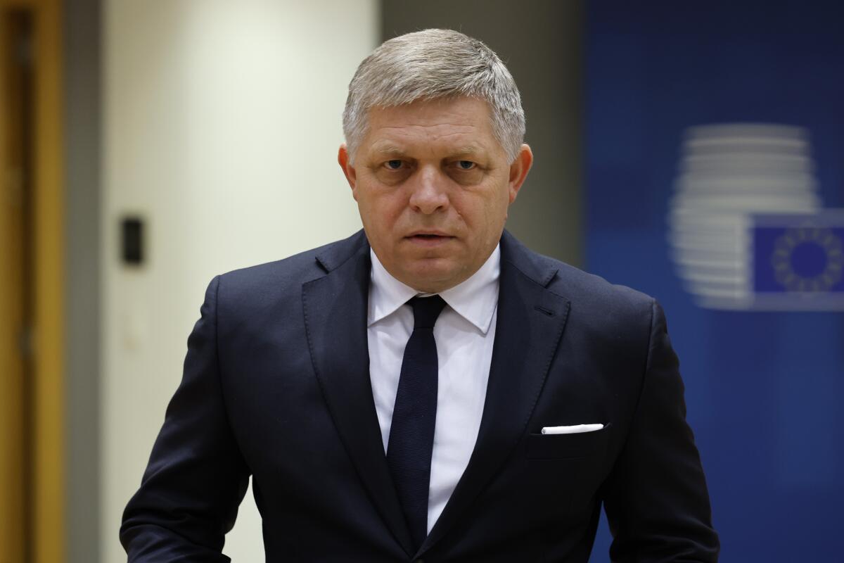 Slovakia's Prime Minister Robert Fico in a suit.