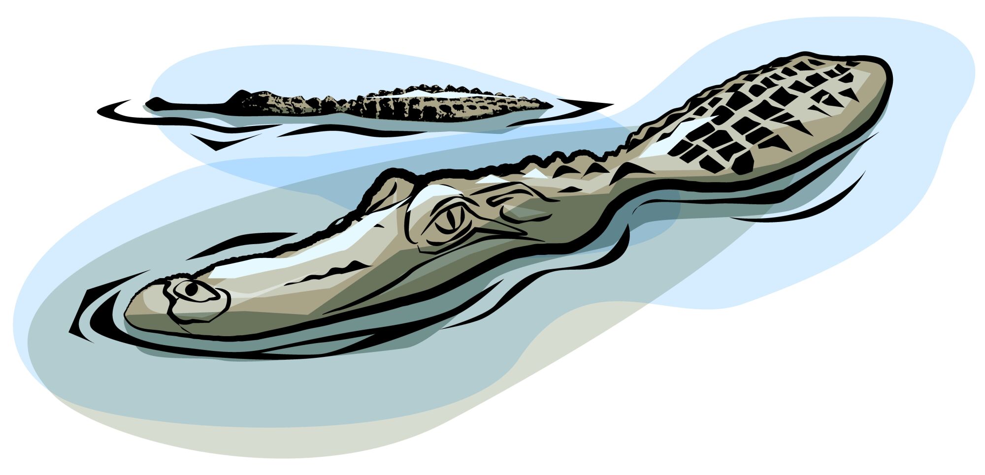 Illustration of alligators