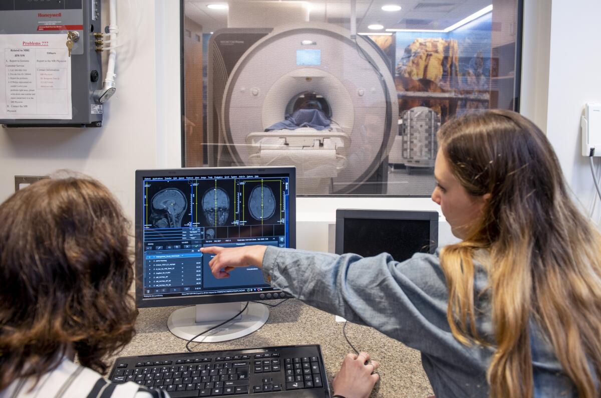 People point to brain scan images on a computer.