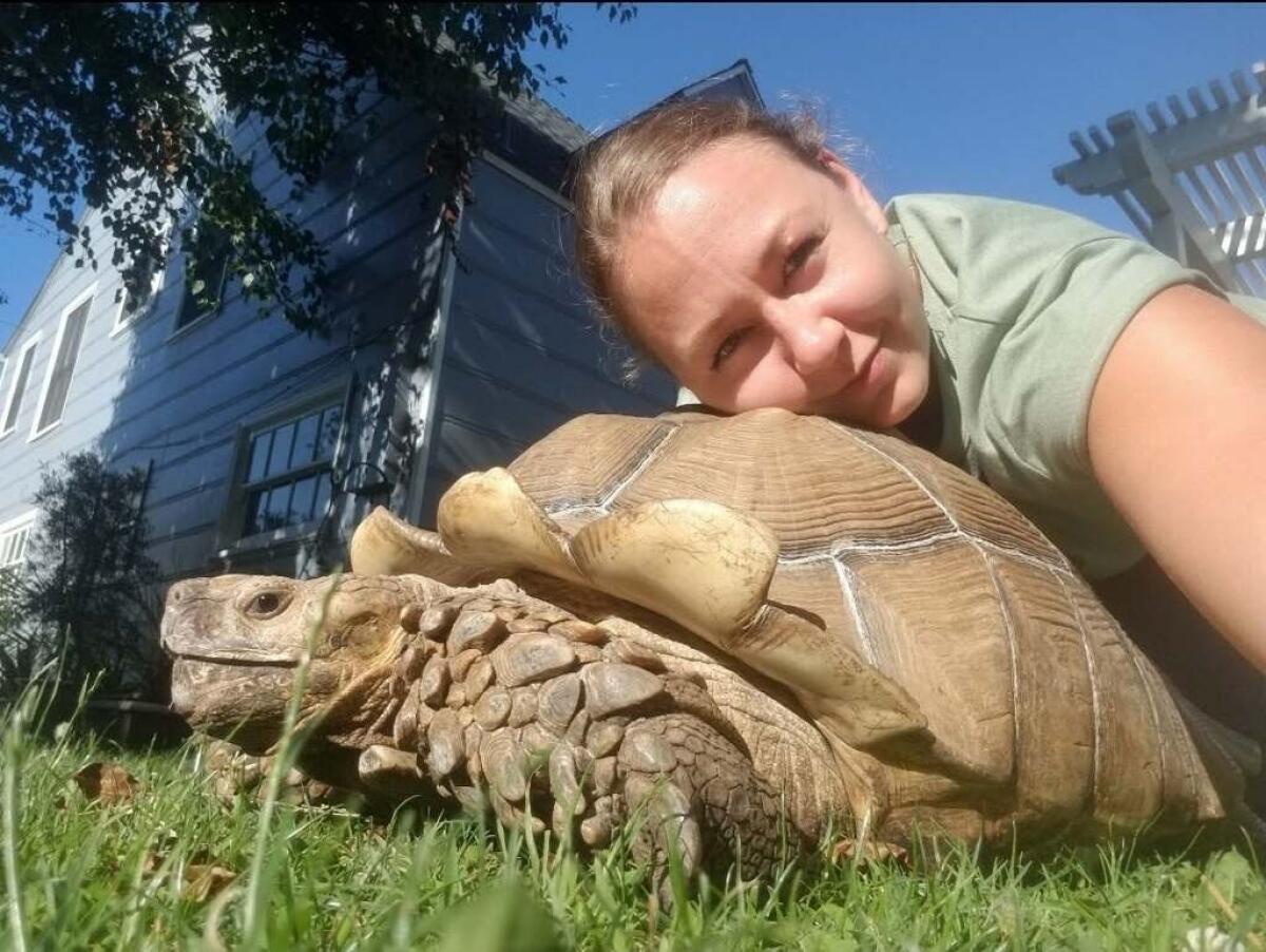 A woman and a tortoise.
