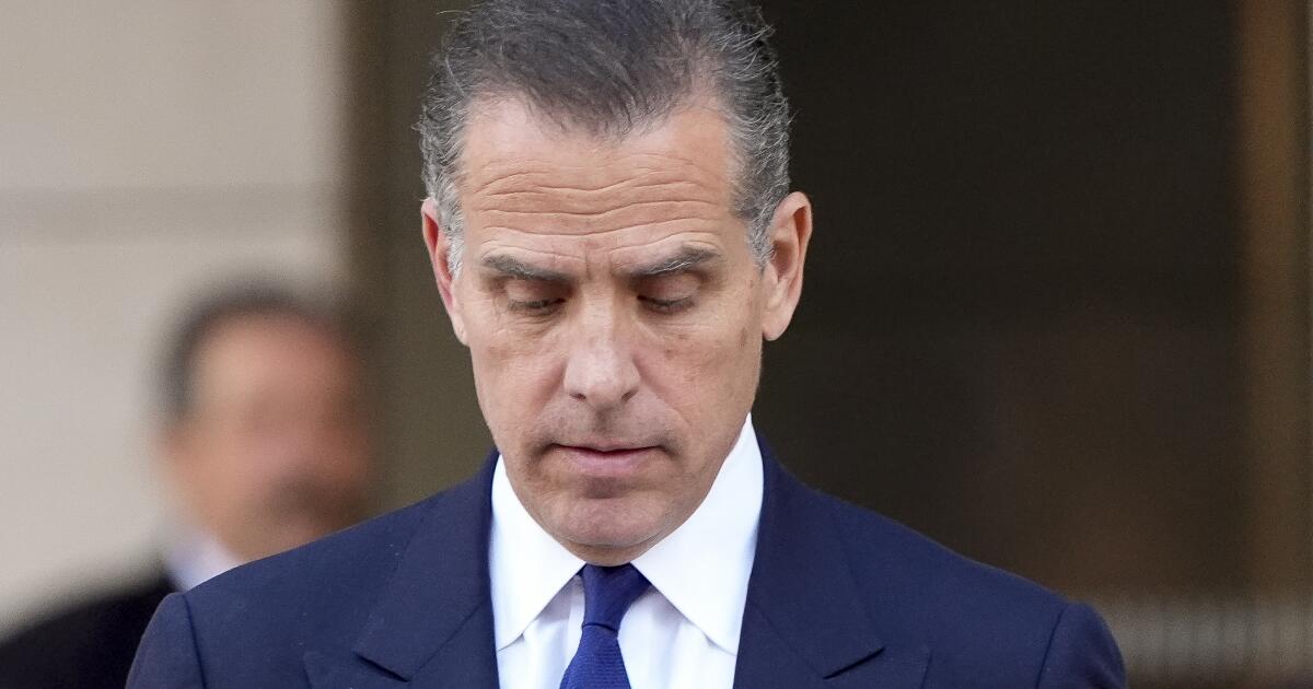 In surprise move, Hunter Biden pleads guilty in federal tax case