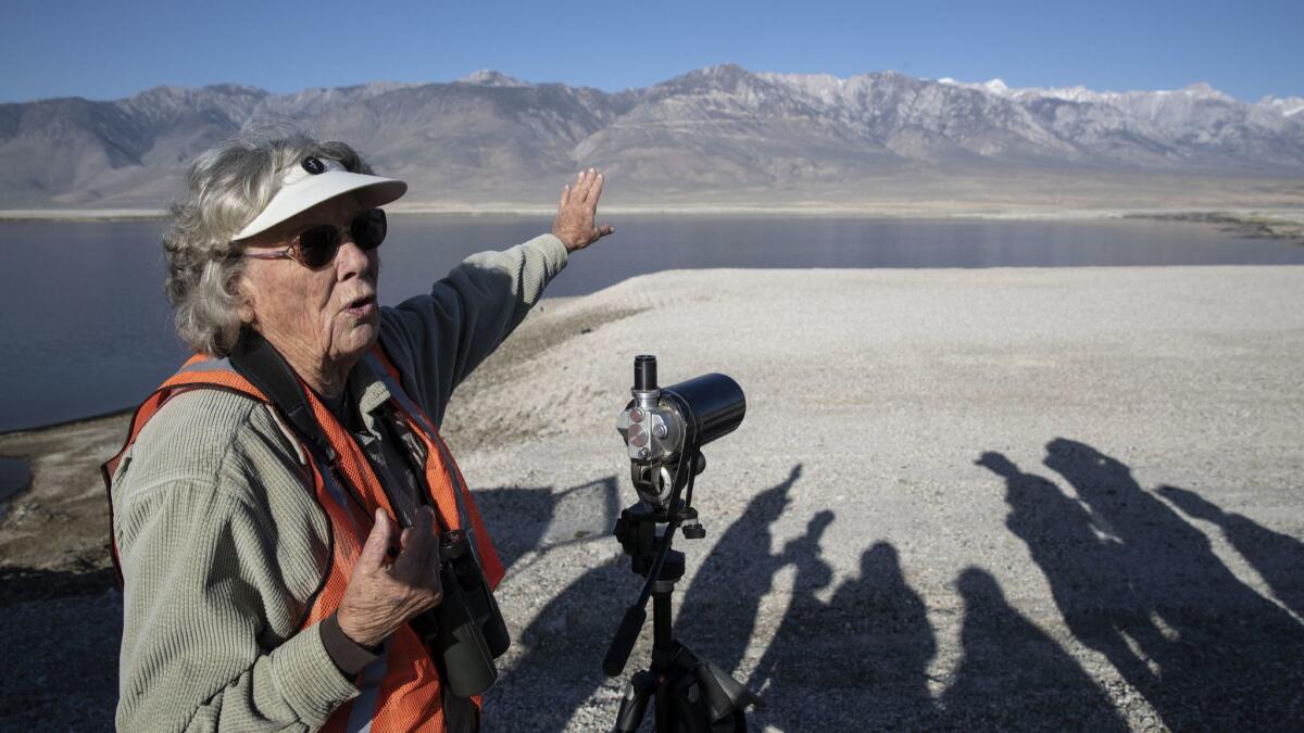 The Sierra Nevada provides a backdrop as Jo Heindel leads a tour at the fourth annual Owens Lake Bird Festival.